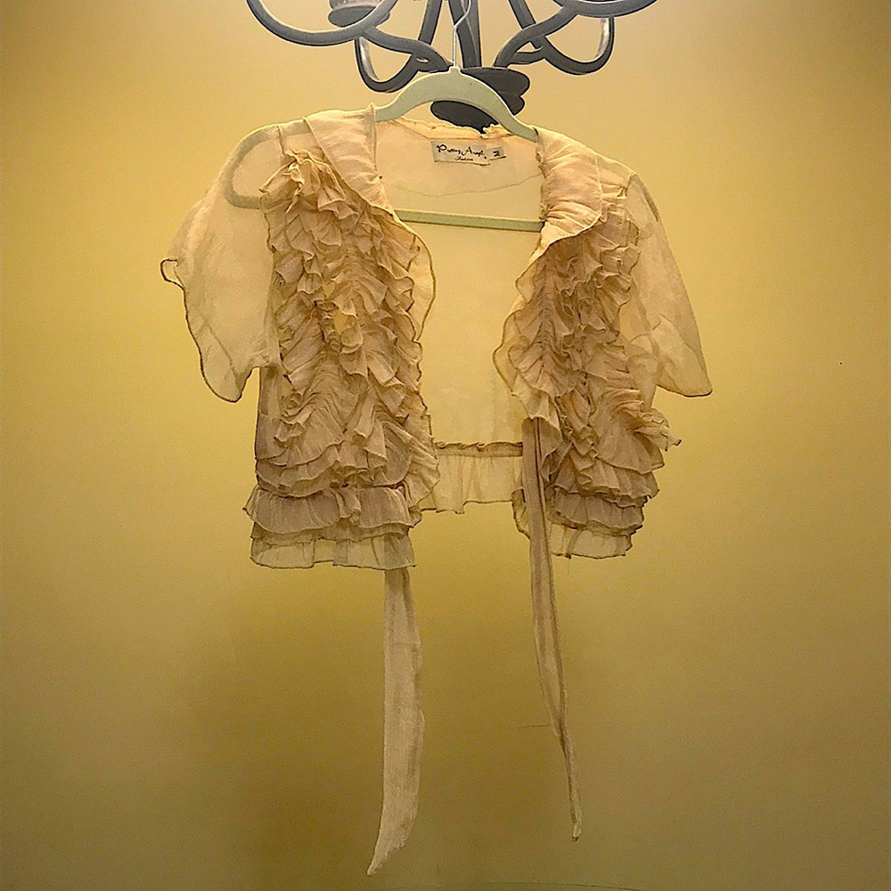 Sheer Silk Tan Ruffled Top